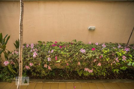 Casa à venda com 270m², 4 quartos e 3 vagasVista do Quarto 1