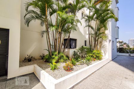 Apartamento para alugar com 70m², 3 quartos e 1 vaga Apartamento para alugar com 70m², 3 quartos e 1 vagaÁrea Comum