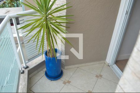 Casa à venda com 280m², 3 quartos e 4 vagas Casa à venda com 280m², 3 quartos e 4 vagasSacada