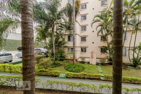 Apartamento para alugar com 63m², 3 quartos e 1 vaga Apartamento para alugar com 63m², 3 quartos e 1 vagaVista da Sala