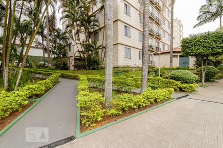 Apartamento para alugar com 63m², 3 quartos e 1 vaga Apartamento para alugar com 63m², 3 quartos e 1 vagaÁrea comum