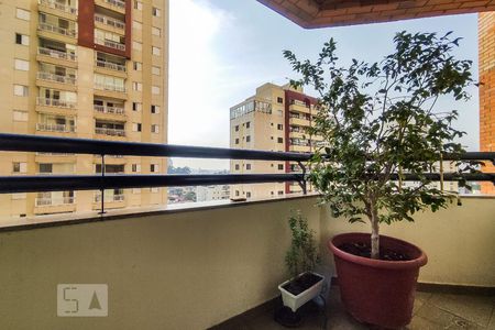 Varanda de apartamento para alugar com 4 quartos, 130m² em Vila Suzana, São Paulo