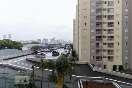 Vista da Sala de apartamento para alugar com 1 quarto, 33m² em Cambuci, São Paulo