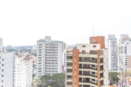 Apartamento à venda com 245m², 4 quartos e 4 vagasVista varanda