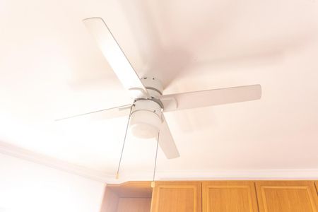 Apartamento à venda com 245m², 4 quartos e 4 vagasVentilador de teto