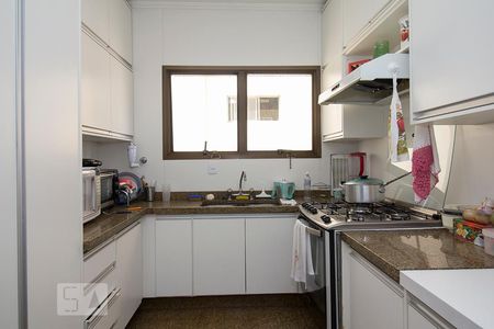 Apartamento para alugar com 280m², 4 quartos e 4 vagas Apartamento para alugar com 280m², 4 quartos e 4 vagasCozinha - Armários