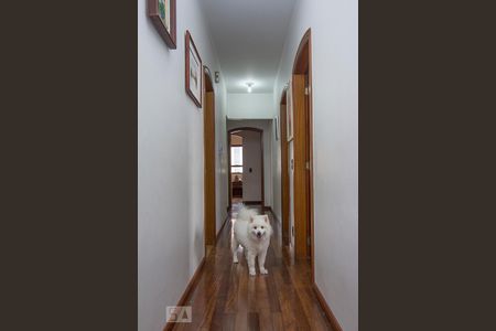 Apartamento para alugar com 280m², 4 quartos e 4 vagas Apartamento para alugar com 280m², 4 quartos e 4 vagasCorredor