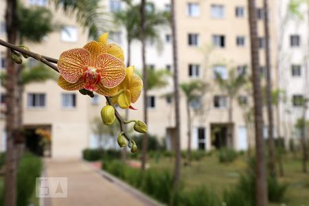 Apartamento à venda com 40m², 2 quartos e sem vagaÁrea Externa