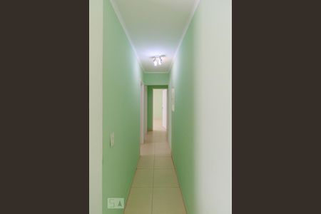 Corredor de apartamento para alugar com 2 quartos, 68m² em Vila Mascote, São Paulo