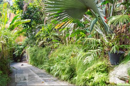 Casa à venda com 391m², 5 quartos e 3 vagasQuintal