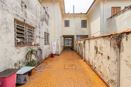 Casa para alugar com 240m², 3 quartos e 4 vagasQuintal