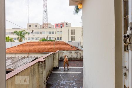Casa para alugar com 240m², 3 quartos e 4 vagasVista da Suíte 