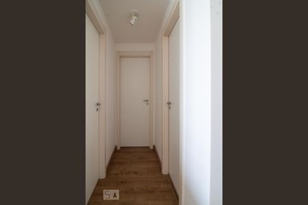 Corredor de apartamento para alugar com 2 quartos, 62m² em Vila Ipiranga, Porto Alegre