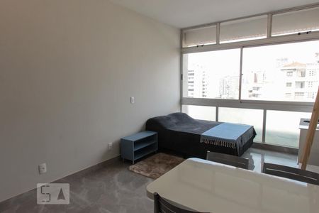 Sala e Quarto de kitnet/studio para alugar com 1 quarto, 30m² em Barro Preto, Belo Horizonte