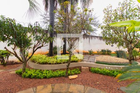 Casa para alugar com 454m², 3 quartos e 3 vagasQuintal