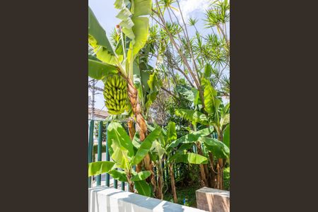 Casa à venda com 434m², 5 quartos e 5 vagas Casa à venda com 434m², 5 quartos e 5 vagasJardim - Bananeira