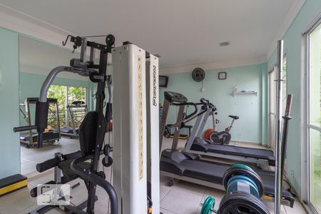 Apartamento para alugar com 65m², 3 quartos e 1 vaga Apartamento para alugar com 65m², 3 quartos e 1 vagaAcademia