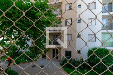 Casa de condomínio à venda com 56m², 2 quartos e 1 vaga Casa de condomínio à venda com 56m², 2 quartos e 1 vagaVista da Área de Serviço