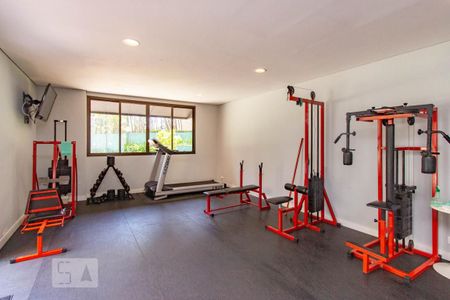 Apartamento à venda com 230m², 4 quartos e 4 vagas Apartamento à venda com 230m², 4 quartos e 4 vagasÁrea comum - Academia