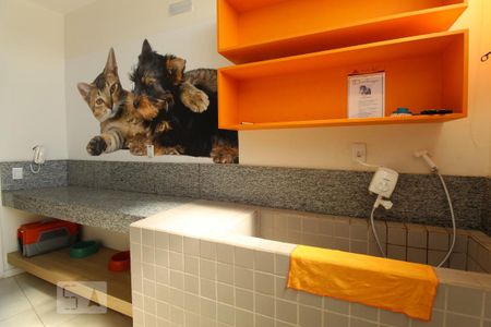 Apartamento para alugar com 62m², 2 quartos e 1 vagaPet care