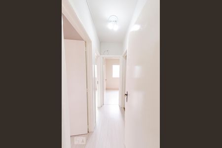 Corredor de apartamento à venda com 3 quartos, 60m² em Estoril, Belo Horizonte