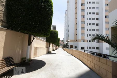 Apartamento à venda com 57m², 3 quartos e 1 vagaÁrea Externa