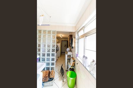 Apartamento à venda com 78m², 3 quartos e 1 vaga Apartamento à venda com 78m², 3 quartos e 1 vagaLavanderia