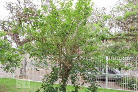 Casa à venda com 600m², 4 quartos e 3 vagasVista do Quarto 3