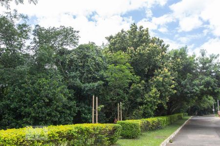 Casa de condomínio à venda com 304m², 4 quartos e 3 vagas Casa de condomínio à venda com 304m², 4 quartos e 3 vagasÁrea Verde - Mata Preservada