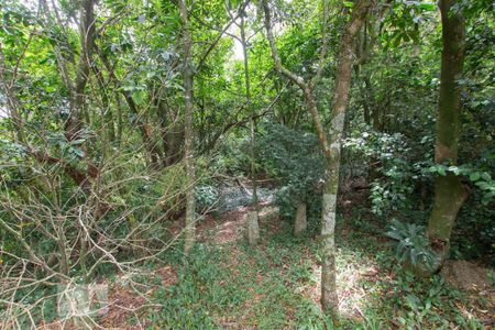 Casa de condomínio à venda com 304m², 4 quartos e 3 vagas Casa de condomínio à venda com 304m², 4 quartos e 3 vagasÁrea Verde - Mata Preservada