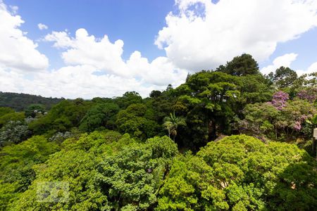 Vista - Varanda da Sala de apartamento para alugar com 2 quartos, 53m² em Jardim Colibri, Cotia