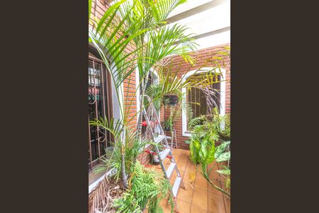 Casa à venda com 530m², 4 quartos e 8 vagasJardim de inverno