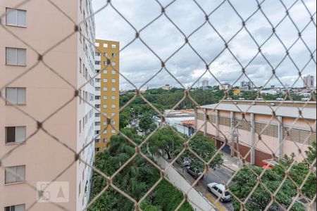 Vista do Quarto 1 de apartamento para alugar com 3 quartos, 55m² em Jardim Dom Vieira, Campinas