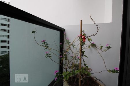 Apartamento à venda com 260m², 4 quartos e 2 vagasVaranda 