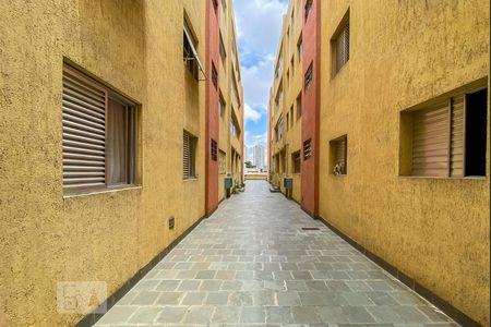 Apartamento para alugar com 80m², 3 quartos e 1 vagaÁrea comum