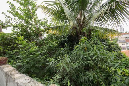 Casa para alugar com 300m², 9 quartos e 2 vagas Casa para alugar com 300m², 9 quartos e 2 vagasPiso INF3 - Vista da Área de Serviço