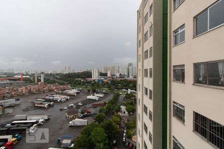 Apartamento para alugar com 50m², 2 quartos e 1 vagaVista do Quarto 1