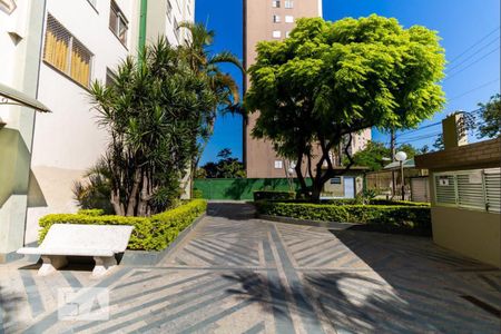 Apartamento para alugar com 50m², 2 quartos e 1 vagaÁrea Comum 