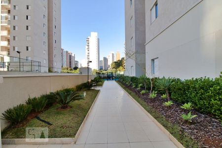 Apartamento à venda com 64m², 3 quartos e 1 vagaÁrea comum