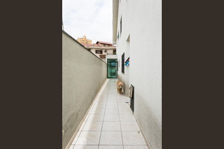 Casa à venda com 420m², 4 quartos e 6 vagas Casa à venda com 420m², 4 quartos e 6 vagasCorredor