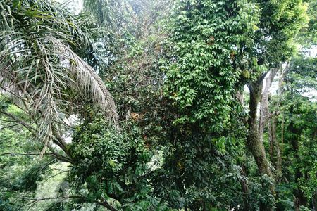 Casa à venda com 424m², 5 quartos e 4 vagasVista da Suíte 2