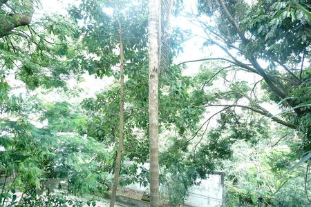 Casa à venda com 424m², 5 quartos e 4 vagasVista da Suíte 3