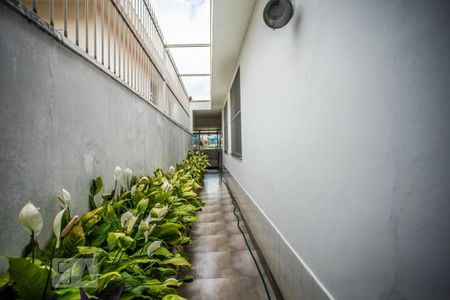 Casa à venda com 350m², 3 quartos e 8 vagas Casa à venda com 350m², 3 quartos e 8 vagasCorredor Externo