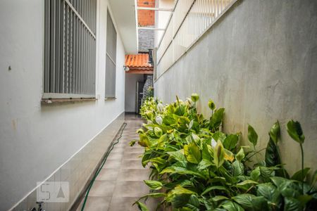 Casa à venda com 350m², 3 quartos e 8 vagas Casa à venda com 350m², 3 quartos e 8 vagasCorredor Externo