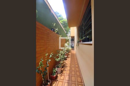 Casa à venda com 171m², 3 quartos e 2 vagasQuintal