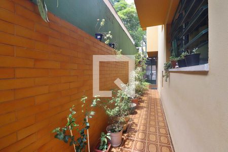 Casa à venda com 171m², 3 quartos e 2 vagasQuintal