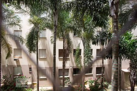Vista da janela da sala de apartamento para alugar com 2 quartos, 55m² em Parque Industrial Lagoinha, Ribeirão Preto