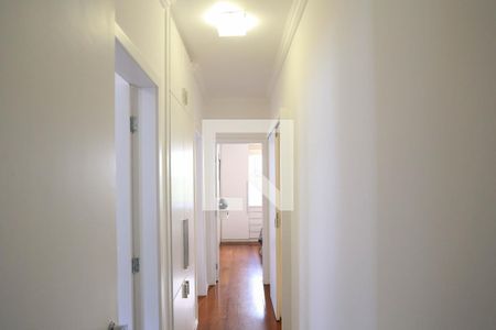 Corredor de apartamento à venda com 3 quartos, 107m² em Anchieta, Belo Horizonte