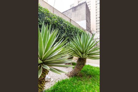 Apartamento para alugar com 40m², 1 quarto e sem vaga Apartamento para alugar com 40m², 1 quarto e sem vagaÁrea comum - Jardim