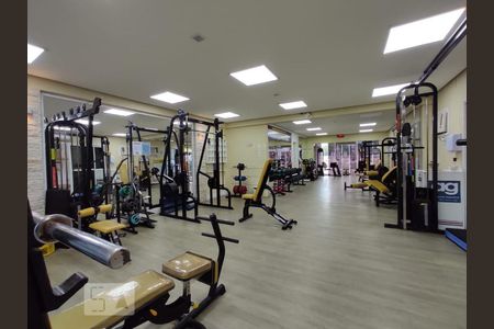 Apartamento para alugar com 189m², 3 quartos e 3 vagasÁrea comum - academia